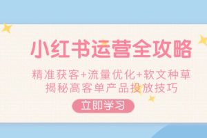 （14207期）小红书运营全攻略，精准获客+流量优化+软文种草，揭秘高客单产品投放技巧