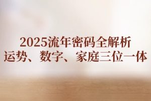 （14466期）2025流年密码全解析，运势、数字、家庭三位一体
