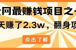 （14723期）暴利项目，每天被动收益1500+，长期管道收益！0成本自己做老板！
