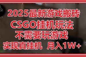 （14743期）2025最新游戏搬砖，CSGO挂机，不需要玩游戏，实现真挂机，月入1W+