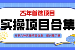 （14772期）2025年实操六大项目实操演练，挂机类型，AI直播类型，轻资产创业类型，…