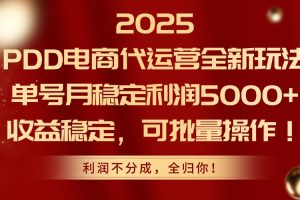 （14839期）2025PDD电商代运营全新玩法，单号月稳定利润5000+，收益稳定，可批量操作
