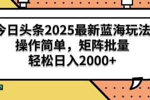 （14848期）今日头条2025最新蓝海玩法，操作简单，矩阵批量，轻松日入2000+
