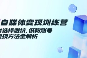（14966期）AI自媒体变现训练营，平台选择避坑，低粉账号高变现方法全解析
