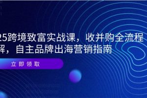（14975期）2025跨境致富实战课，收并购全流程拆解，自主品牌出海营销指南