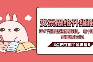 （15151期）文案思维升级秘籍，5W分析法深度解析，写作底层逻辑重构方法