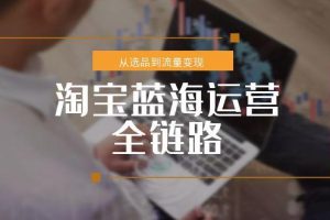 （15160期）淘宝蓝海运营全链路，从选品到流量变现，小类目突围完整方案