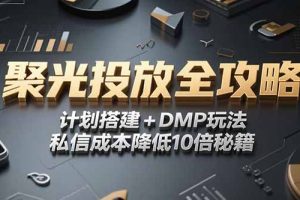 （15254期）2025小红书聚光投放全攻略，计划搭建+DMP玩法，私信成本降低10倍秘籍