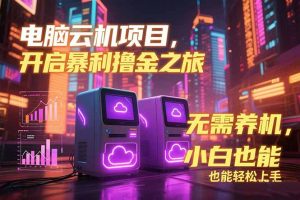 （15323期）电脑云机项目 暴力撸金玩法，不需要养机 配置没有要求 单机100个窗口一…