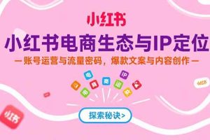 （15350期）小红书电商生态与IP定位，账号运营与流量密码，爆款文案与内容创作