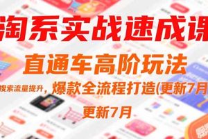 （15374期）淘系实战速成课，直通车高阶玩法，搜索流量提升，爆款全流程打造(更新7月)