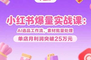 （15462期）小红书爆量实战课：AI选品工作流，素材批量处理，单店月利润突破25万元