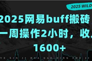 （15666期）2025网易buff搬砖，一周操作2小时，收入1600+