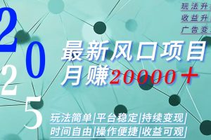 （15694期）2025广告赛道新风口-月赚2W＋玩法简单，时间自由