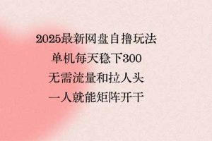 （15831期）2025最新网盘自撸玩法，单机每天稳下3张，无需流量和拉人头，一个人就…