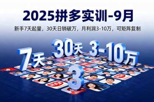 （16008期）2025拼多多实训-9月：新手7天起量,30天日销破万,月利润3-10万,可矩阵复制