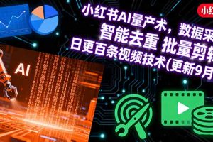 （16054期）小红书AI量产术，数据采集 智能去重 批量剪辑 日更百条视频技术(更新9月)