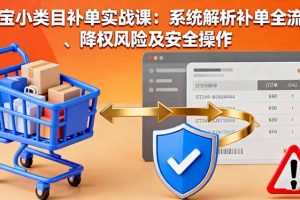 （16239期）淘宝小类目补单实战课：系统解析补单全流程、降权风险及安全操作
