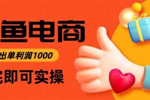 （16472期）闲鱼高利润电商，当天上架当天出单，一单利润300