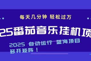 （16557期）2025最新挂机番茄音乐项目，每天几分钟，日入1000＋