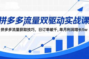 （16563期）拼多多流量双驱动实战课：拼多多流量获取技巧，日订单破千,单月利润增长5w