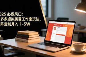 （16594期）2025 必做风口：拼多多虚拟类目工作室玩法，矩阵复制月入 1-5W