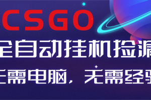 （16619期）【副业好项目】全球火爆游戏CSGO自动捡漏，新手小白日入500+