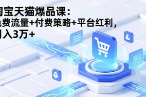 （16631期）淘宝天猫爆品课(录音+资料)：免费流量+付费策略+平台红利，月入3万+