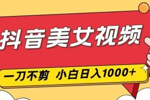 （16873期）抖音美女视频，一刀不剪，两分钟一条视频，小白轻松上手，日入1000