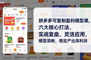 （16952期）拼多多可复制盈利模型课，六大核心打法、实战复盘、灵活应用，模型清晰，稳定产出高利润
