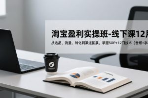 （17079期）淘宝盈利实操班-线下课12月，从选品、流量、转化到渠道拓展，掌握SOP+12门技术（音频+字幕）