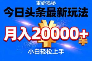 （17112期）今日头条代运营最新玩法，轻轻松松月入20000＋