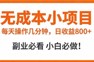 （17307期）无成本小项目 每天操作几分钟，真实日收益800+ 副业必看 小白必做！