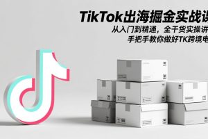 （17368期）TikTok出海掘金实战课：从入门到精通，全干货实操讲解，手把手教你做好TK跨境电商