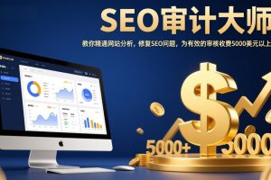 （17500期）SEO审计大师：教你精通网站分析，修复SEO问题，为有效的审核收费5000美元以上！