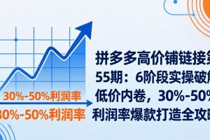 （17698期）拼多多高价铺链接第55期：6阶段实操破解低价内卷，30%-50%利润率爆款打造全攻略