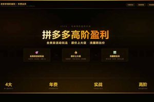 （17799期）拼多多高阶盈利年费会员(更新3月)：全类目活动玩法、原价上大促、洗图防比价等核心盈利技术