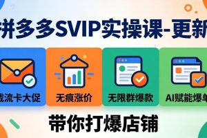 （18045期）拼多多SVIP实操课-26年4月，截流卡大促+无痕涨价+无限群爆款+AI赋能爆单新玩法，带你打爆店铺