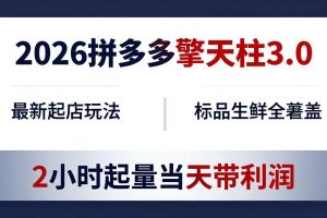 （18129期）2026拼多多擎天柱 3.0-更新4月20：最新起店玩法，标品生鲜全覆盖，2小时起量当天带利润
