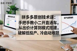 （18159期）拼多多原创技术课：手把手教小二开直通车，从出价计算到模式搭建，破解低投产、冷启动难题