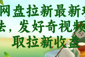 （18917期）网盘拉新最新玩法，发好奇视频获取拉新收益