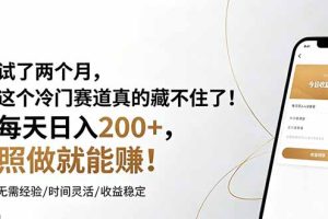 （19019期）试了两个月，这个冷门赛道真的藏不住了！每天日入200+，照做就能赚！