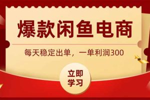 （19046期）爆款闲鱼电商，卖法简单粗暴，长期稳定可做，一单利润300