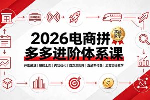 （19206期）2026电商拼多多进阶体系课，开店避坑，链接上架，内功优化，自然流矩阵｜直通车付费｜全套实操教学