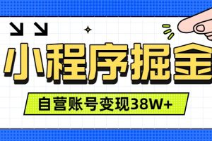 （19315期）微信小程序掘金，团队自营小程序累计变现38W+，稳定运营三年，一部手机即可操作