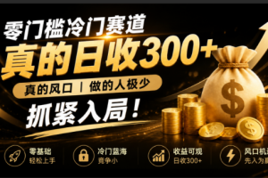（19575期）零成本冷门赛道，真的日300+真风口，做得人极少！赶紧入局，超级简单！