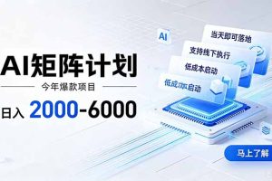 （19690期）AI矩阵计划！日收益2000-6000+，项目绿色长久，安全稳健，合规靠谱，可批量放大。