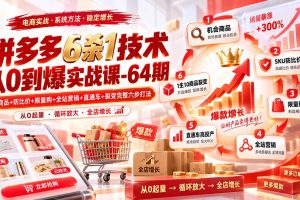 （20316期）拼多多6杀1技术从0到爆实战课-64期：机会商品+防比价+限量购+全站营销+直通车+裂变完整六步打法