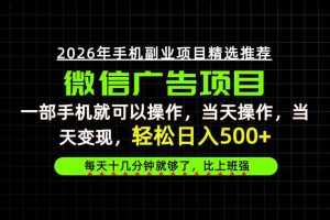 (20499期)当天做当天见收益,一部手机就能操作,普通人绝对不能错过的副业项目!